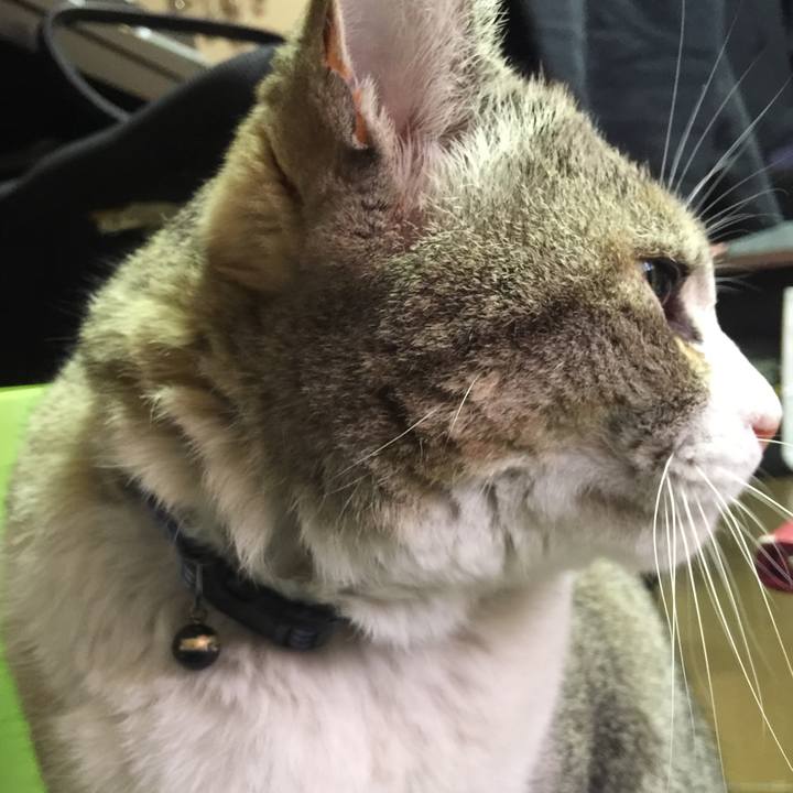 F7819c10 ec97 4ebb 8674 12a9391afd85