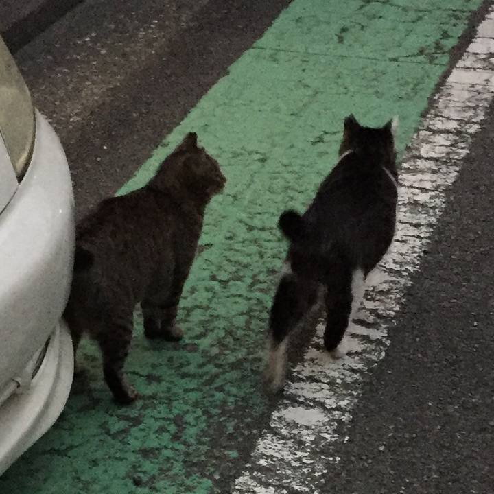 F781e5e9 d8ba 4a3c a2ef 67a524ffaaec