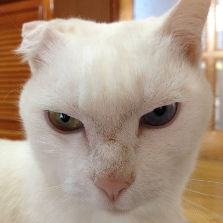 F782fc36 400d 4071 9107 ddddd4edc685