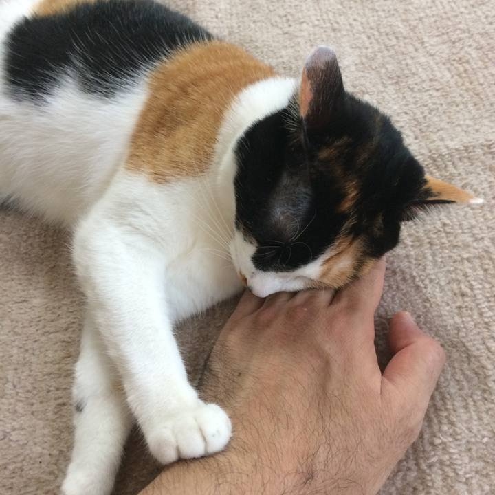 F784161b 8593 4750 89ba 4af26a8e866d