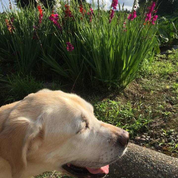 F7843c6b c455 4f86 8d8c 27663d4391be