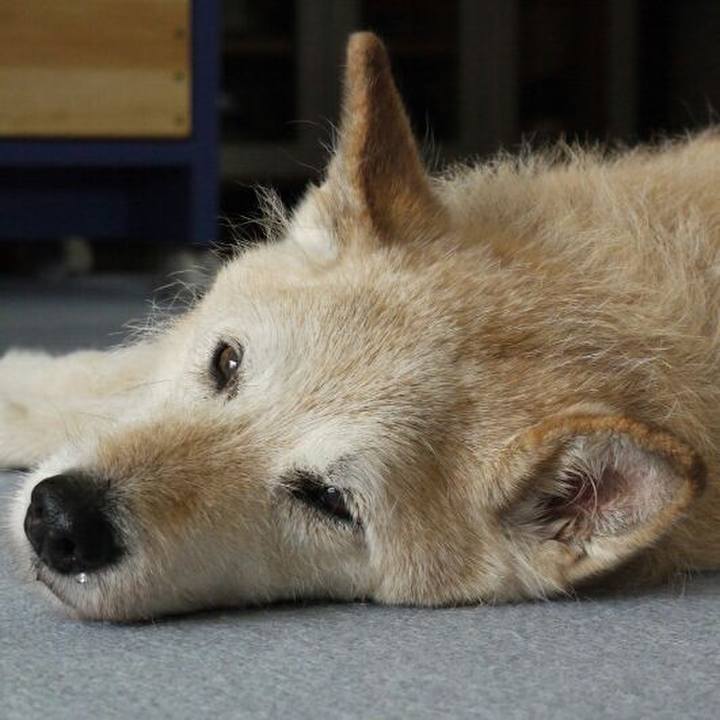 F784408f 0de9 43b9 a99d 830162f761a4