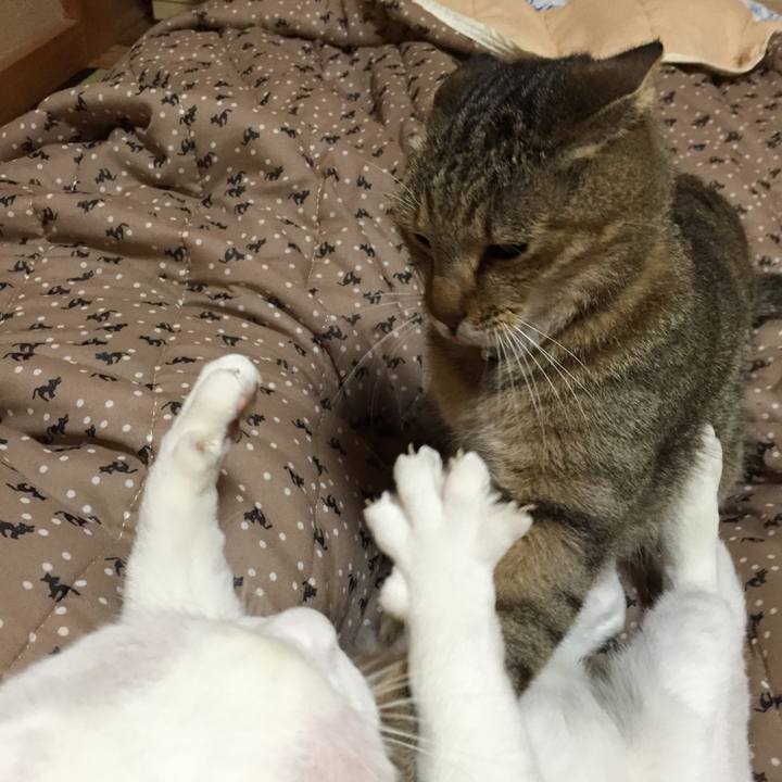 F784836a c51f 4006 a0ca d61d91420ccd