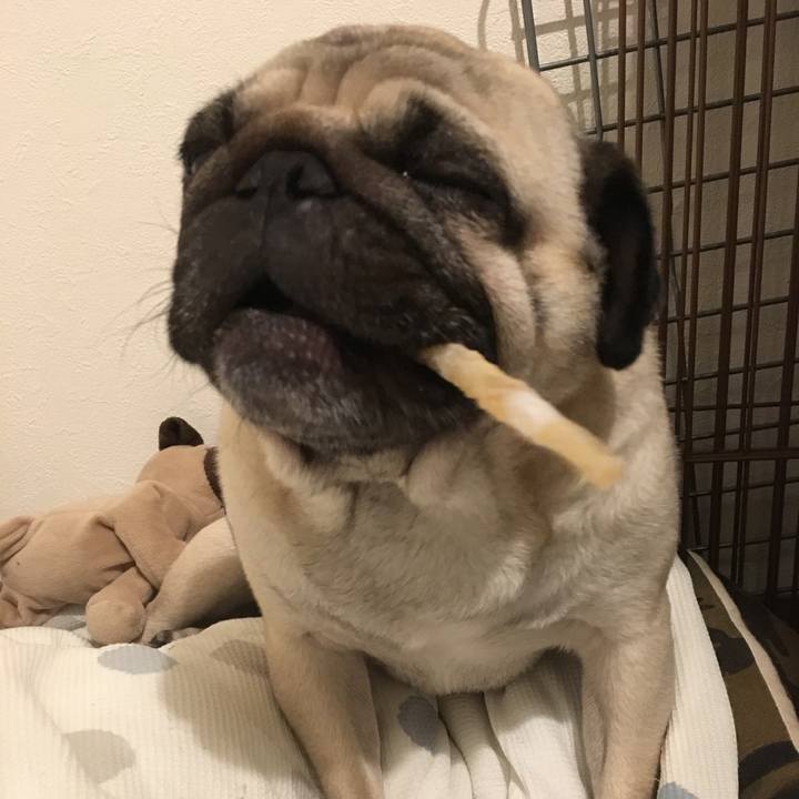 F784966b eb25 4e1a a478 2f0a097a3169