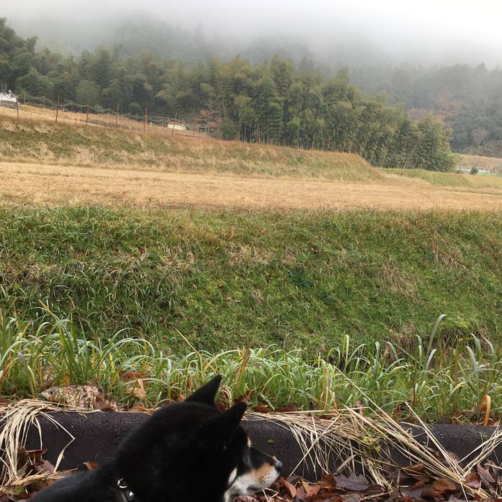 F784aa8c f43b 4148 882d 5bbe44c5390f