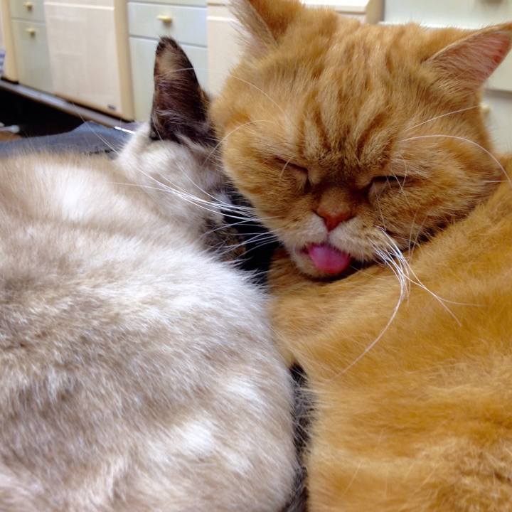 F784e38d 8213 4868 b996 15f234c2f0ba