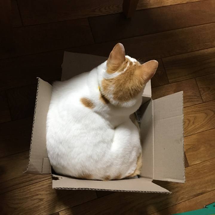 F785fb96 1932 4909 a24b 1fb777a82eb4