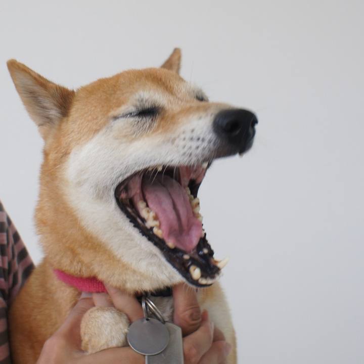 F7872da0 492b 4cd2 a8d9 c7c16e997132