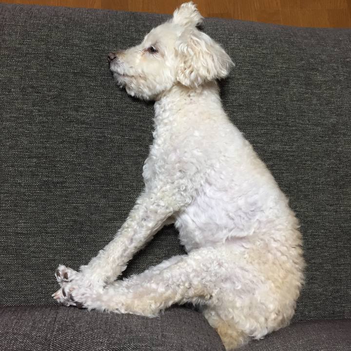 F787570e 7483 4243 bd12 9600fc551950