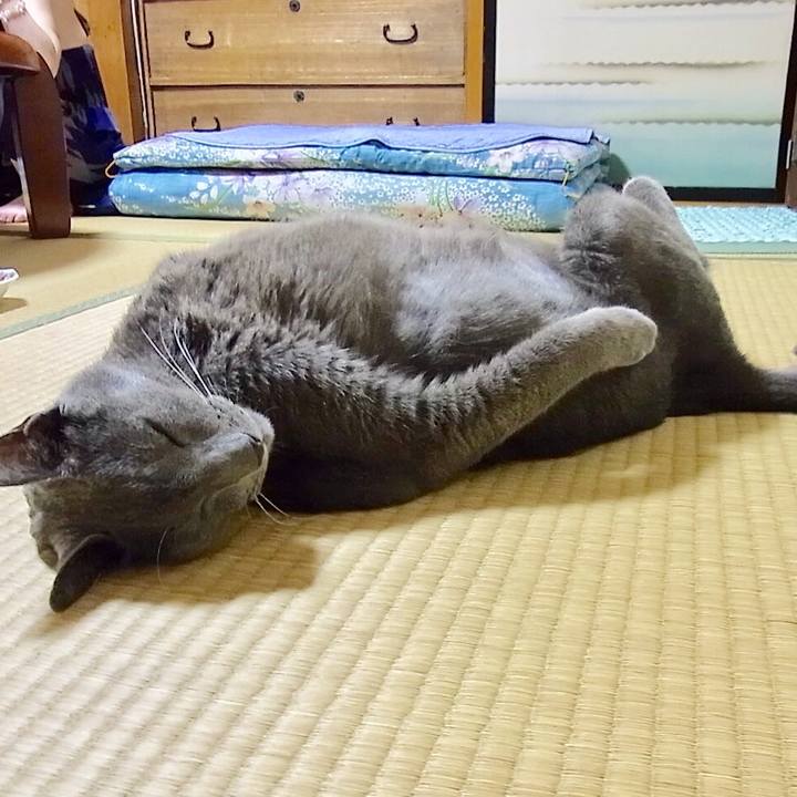 F788765e 10ca 40cd af4c fd53c5576d6e