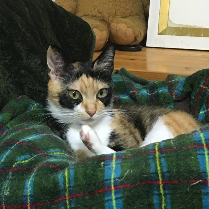 F788b0e7 1741 4cac 8eb1 e1e7a6d792cf