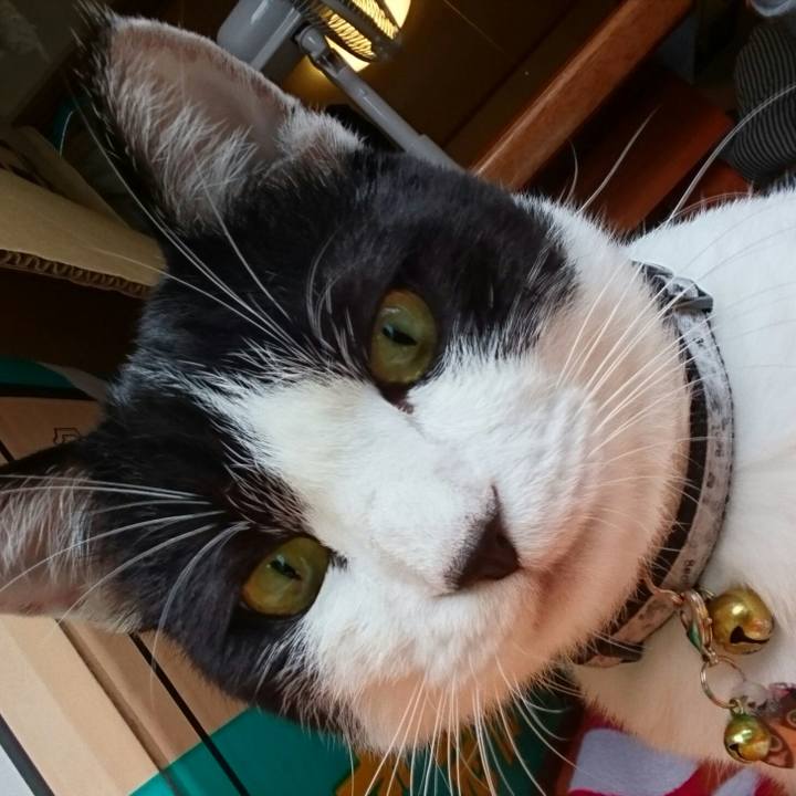 F7895931 86dc 4002 b01f d1235b55fda2