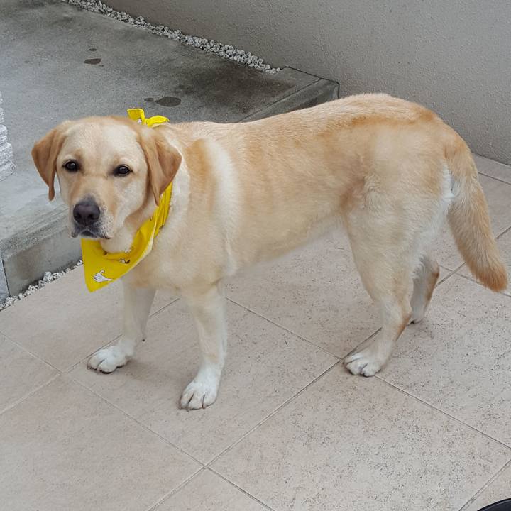 F789e1d9 0841 47a9 85fb fca93c3e6aff