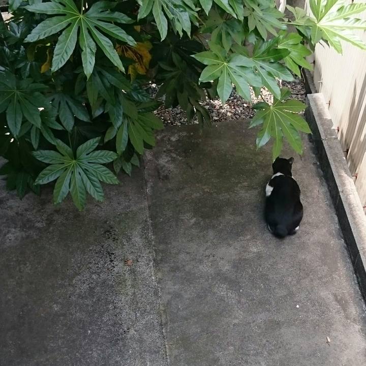 F78a5041 d275 49b6 9c32 235e273a66e5