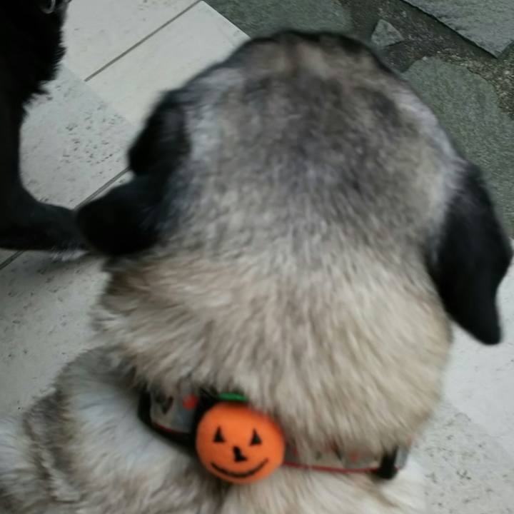 F78a6e84 b77b 4764 a48c bbd50855e5d8