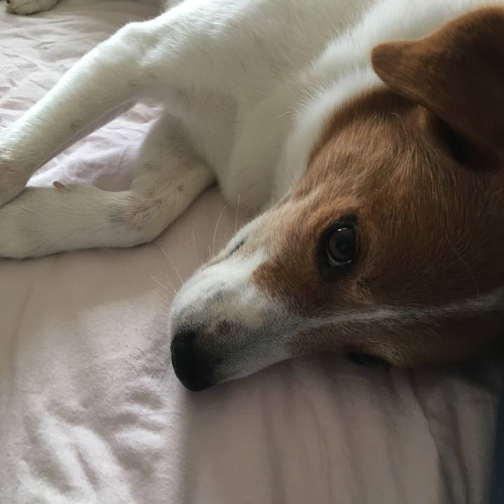 F78aa6e2 9e3b 40fd 9fde d05b707d1e71