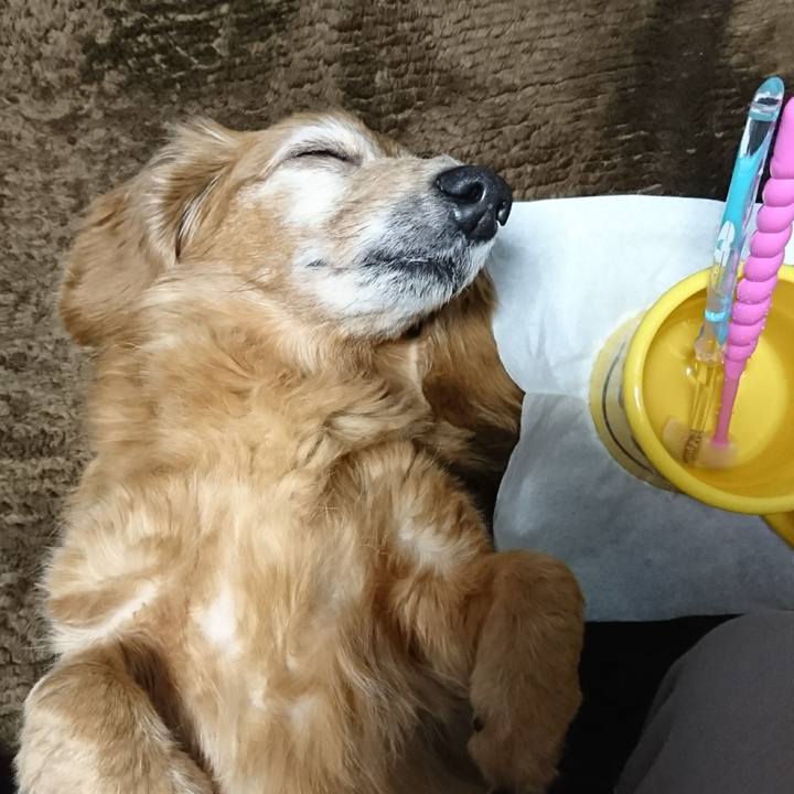 F78b5379 b2c1 4a22 9cca d9fccef6ec6b