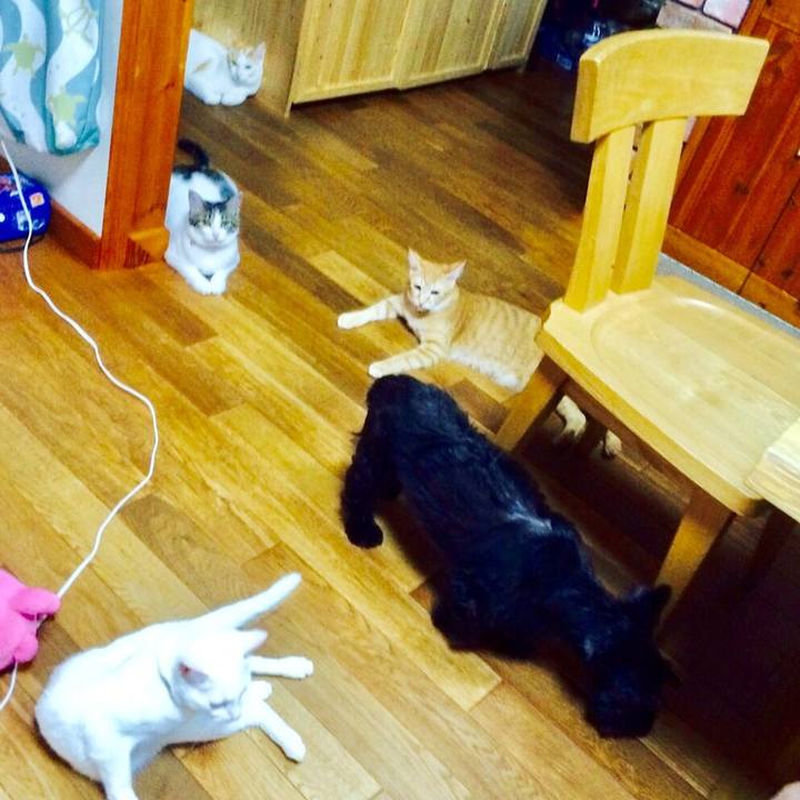 F78b651b ce1f 42d9 b7b8 049afec3d0c1