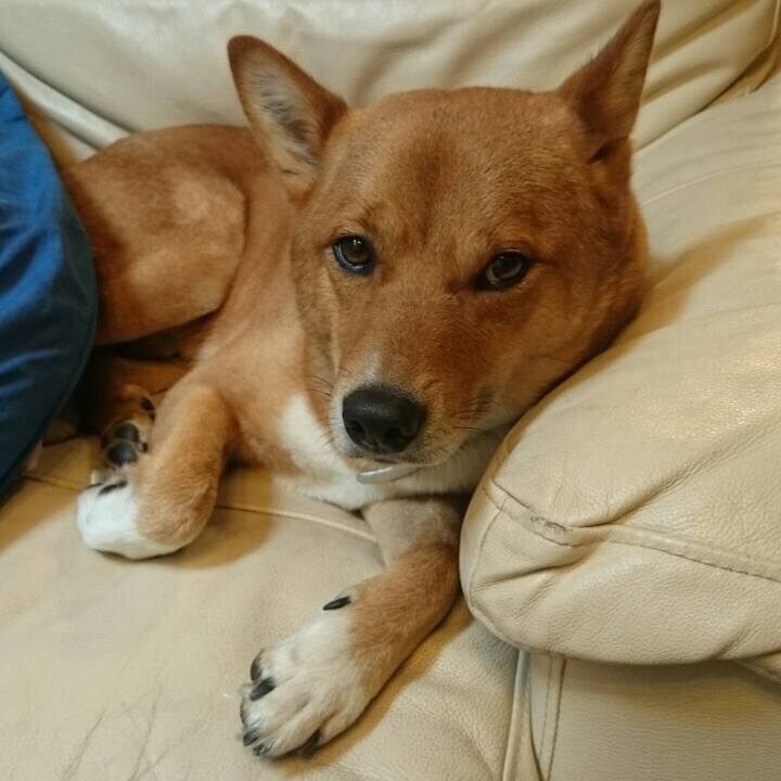 F78bf024 973d 47a9 b149 ec2c2e32a378