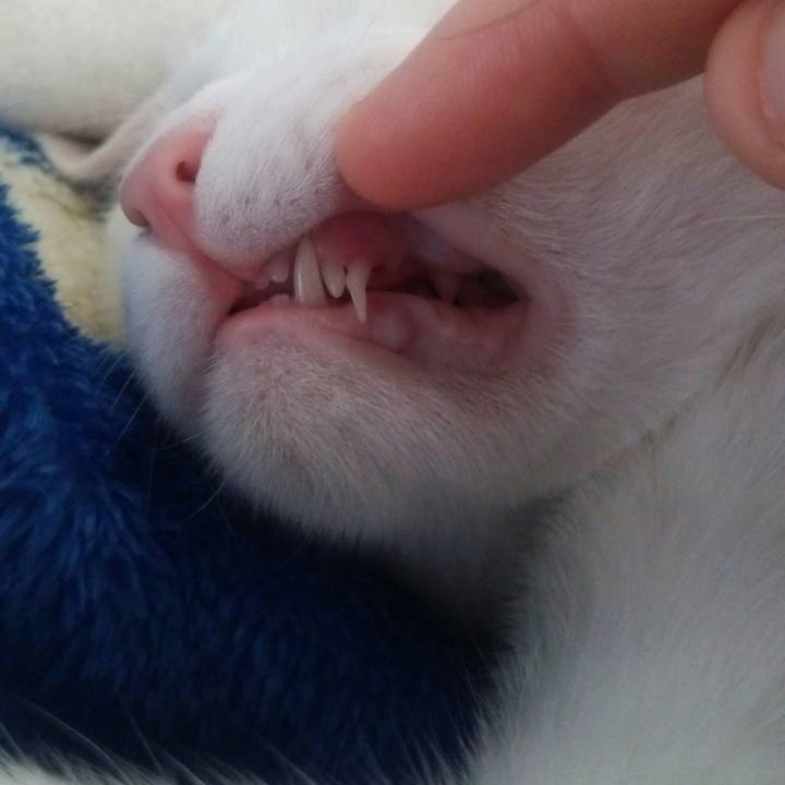 F78cc405 abf8 43fb a43b 9328e0c921a7