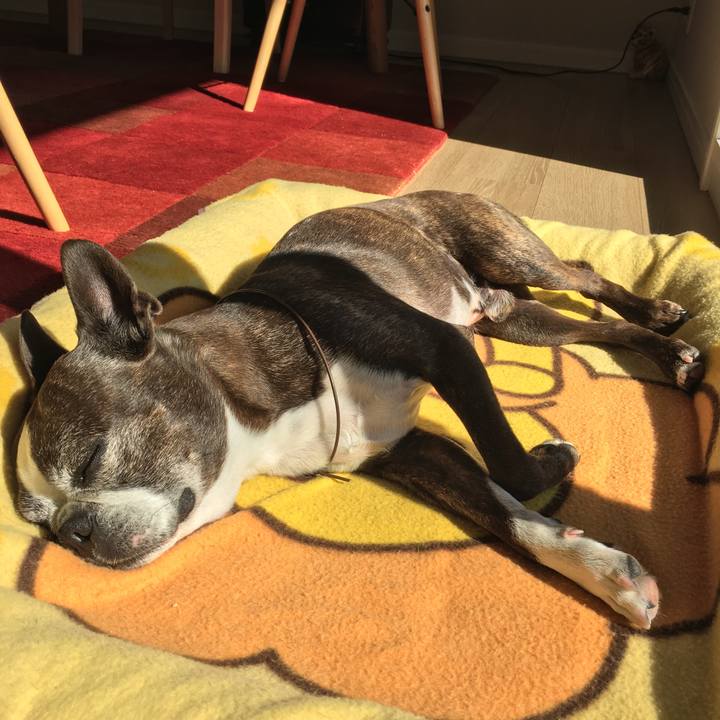 F78cf9af 325a 4582 9517 47bcfe64095e