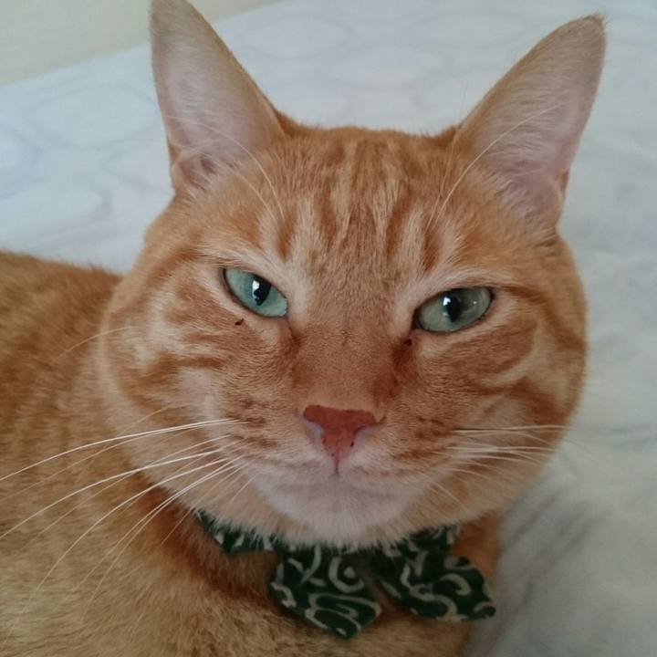 F78cfc1d 515f 44cb a109 d3fb64ce7a6c