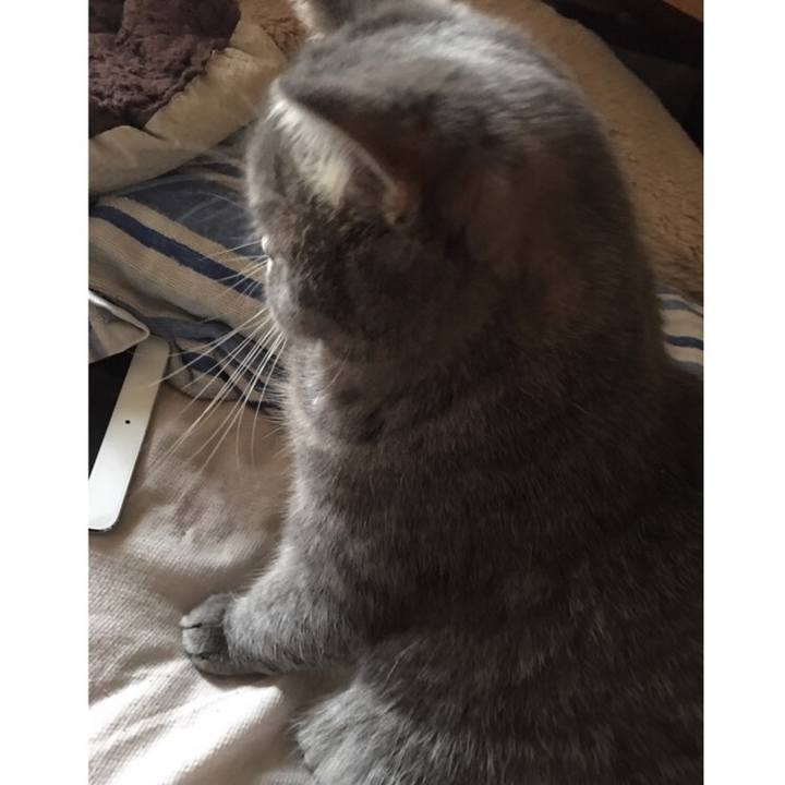 F78ddd9a 0373 4412 8332 ea449e5d3be5