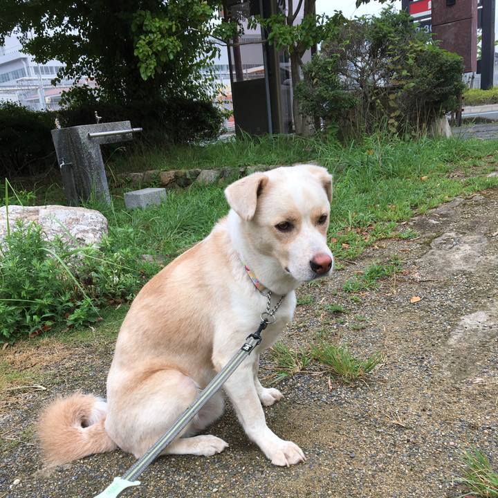 F78e4721 5762 49c0 b042 2c744f94a015