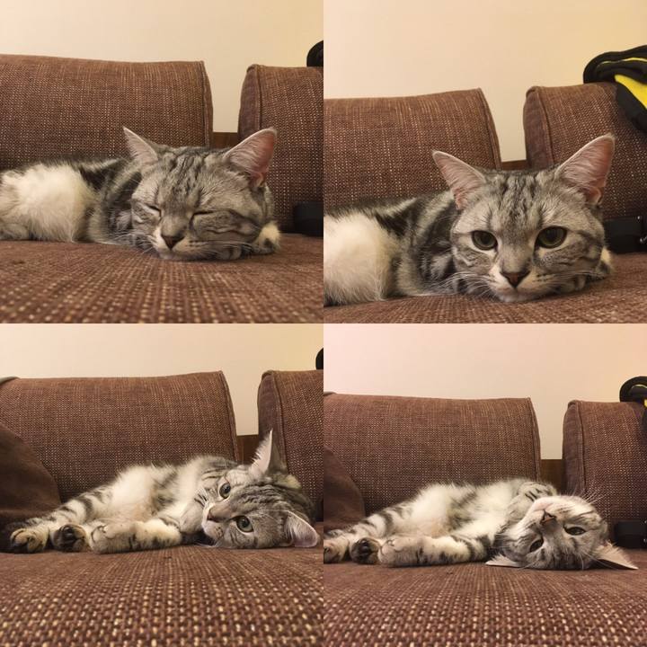 F78ec329 aa54 4927 a5bb f694e77032f1