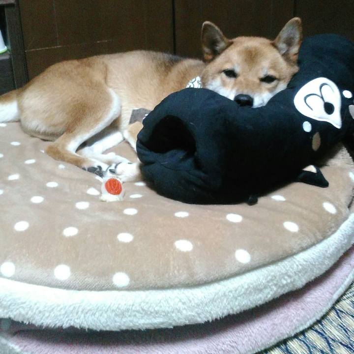 F78f3814 e518 4ae3 9aea b52e5ff69225