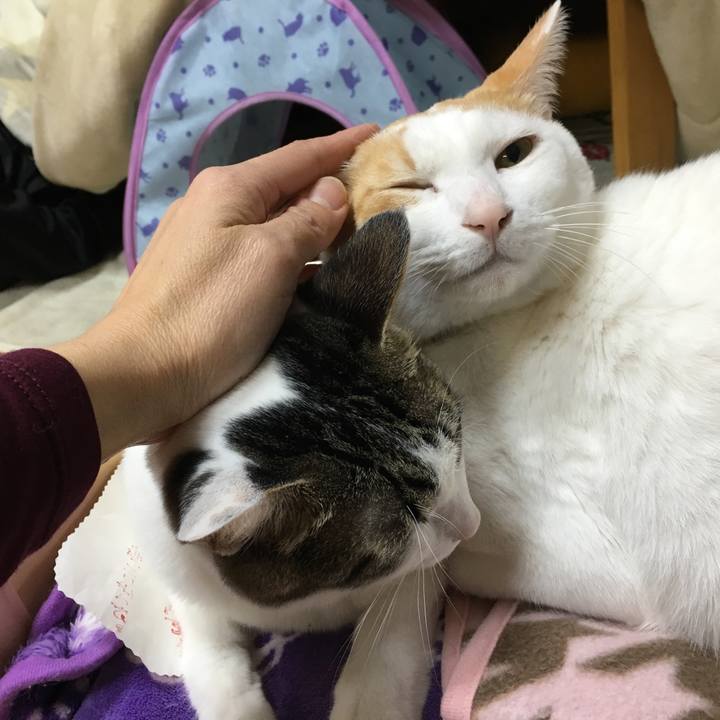 F78fc2e4 0e17 41b3 a629 d451fb9da55a