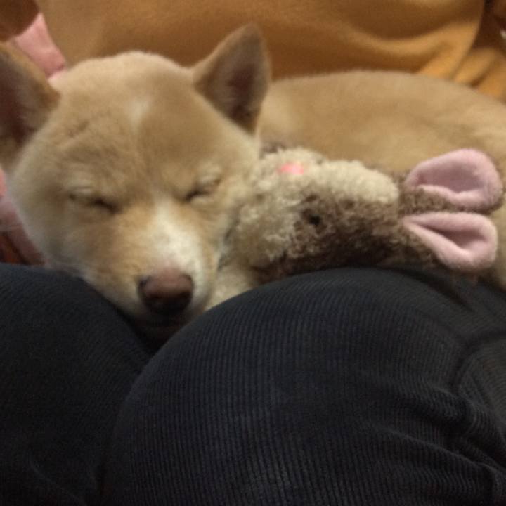 F7902984 ac4d 47a6 9c3a 4cf19a699052