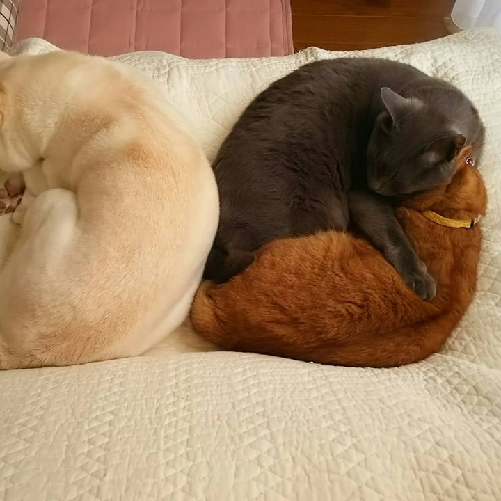 F7911a85 8078 459c a8ee f68216be73b7