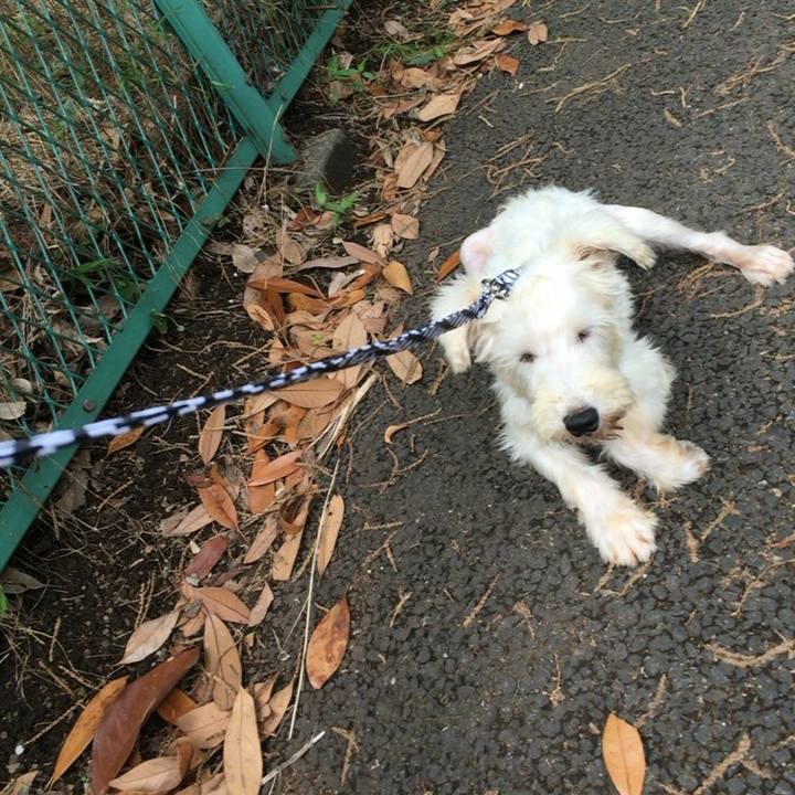 F7912590 7c90 4c6b a9c6 73af35fd273e