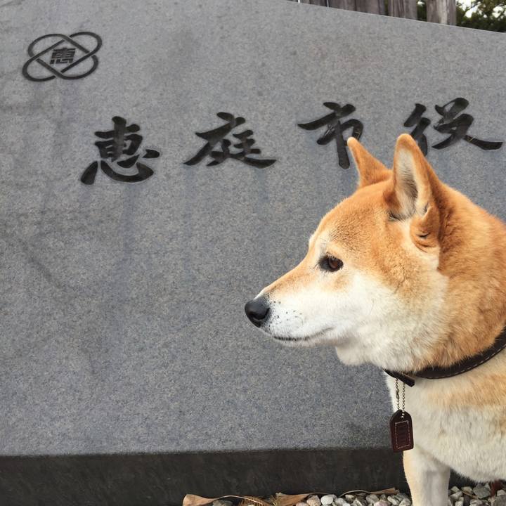 F79152b7 a1bf 4b32 aed1 20e692ee53ff