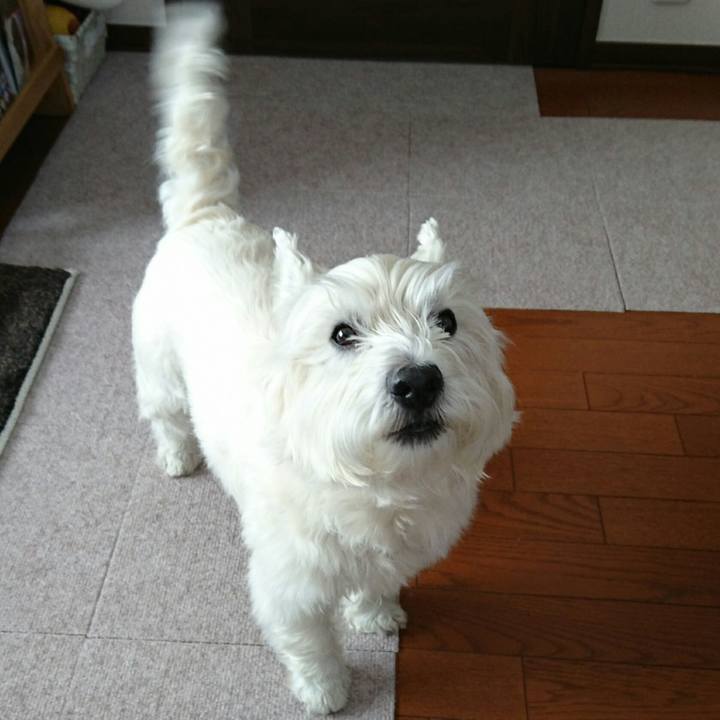 F791fca7 5bd0 4dc2 85f6 e85d95acf547