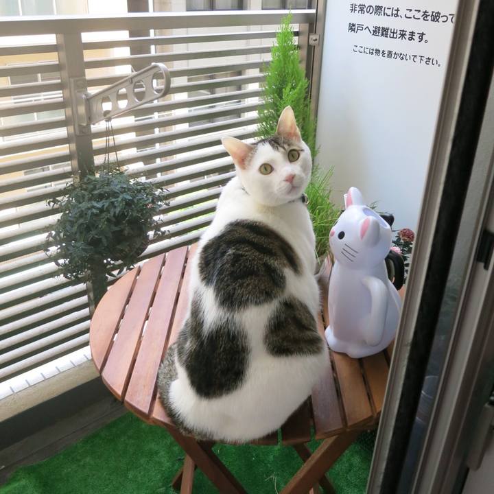 F7923022 01a3 4886 9079 8ce07f816040