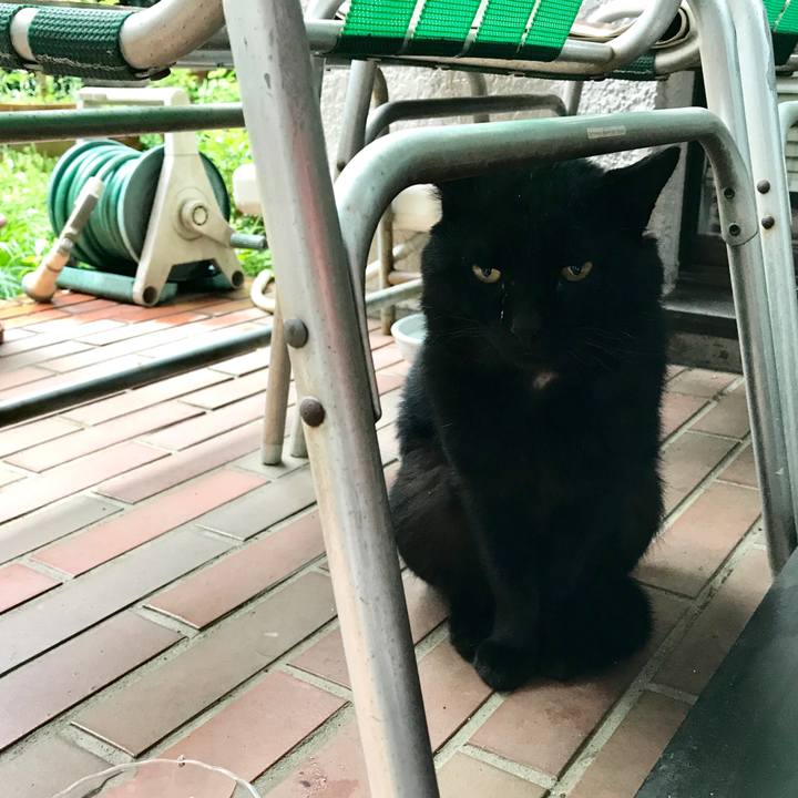 F7923c9b 7762 4633 a51e 1546b0aefa54