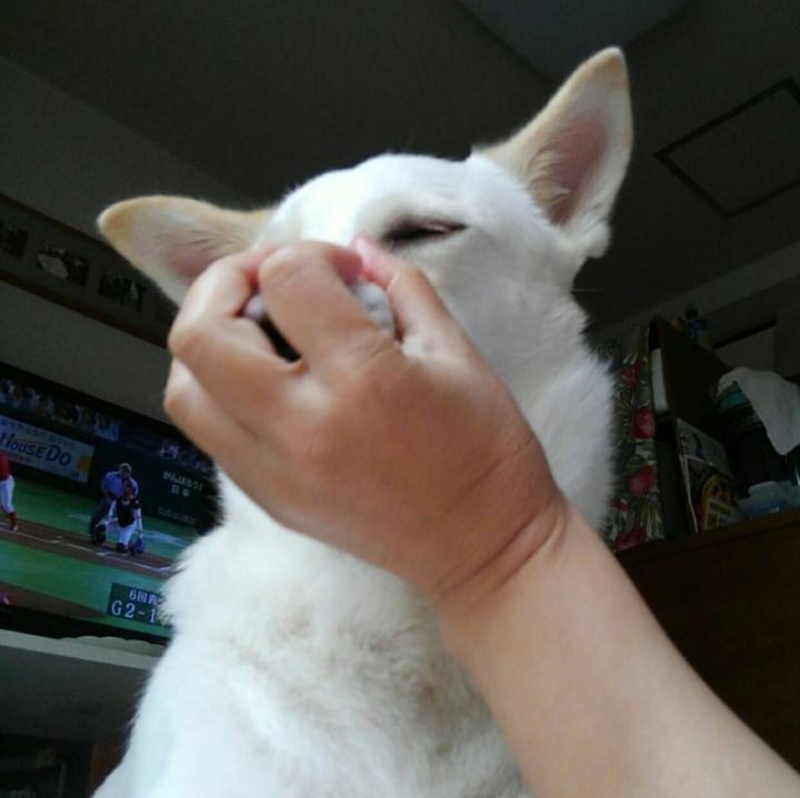 F79279b3 c281 40ac 85e4 4942251ced6a