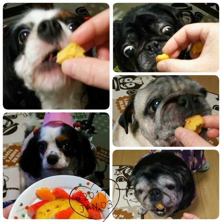 F792e68b 9ebf 4238 98de 6622804bfd2d