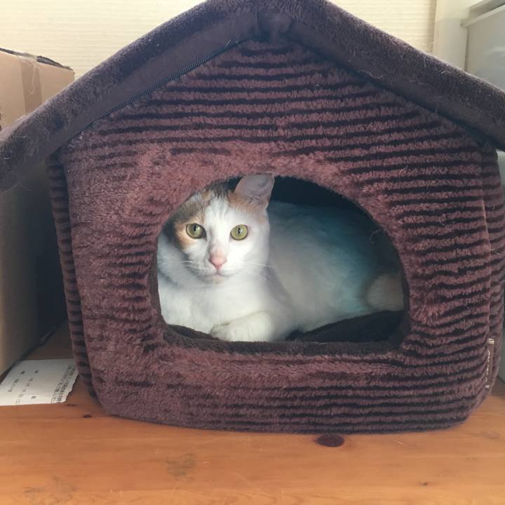 F7930686 2225 4327 92ba 093f31db160d