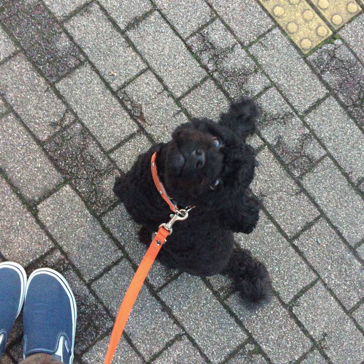 F7930703 ba7f 4044 87cb 0f81881120a9