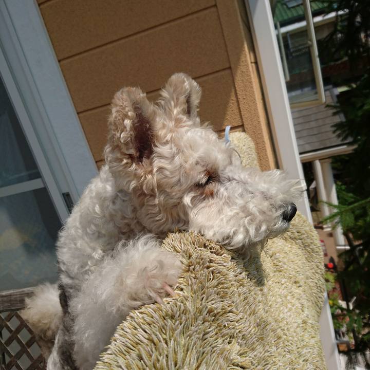 F793661d ee1c 42cc a55d 322c57b0d90f