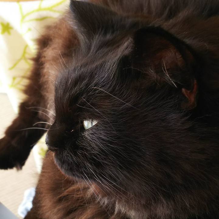 F7937ec0 d259 475b a5e0 cefcc2a9e1d9