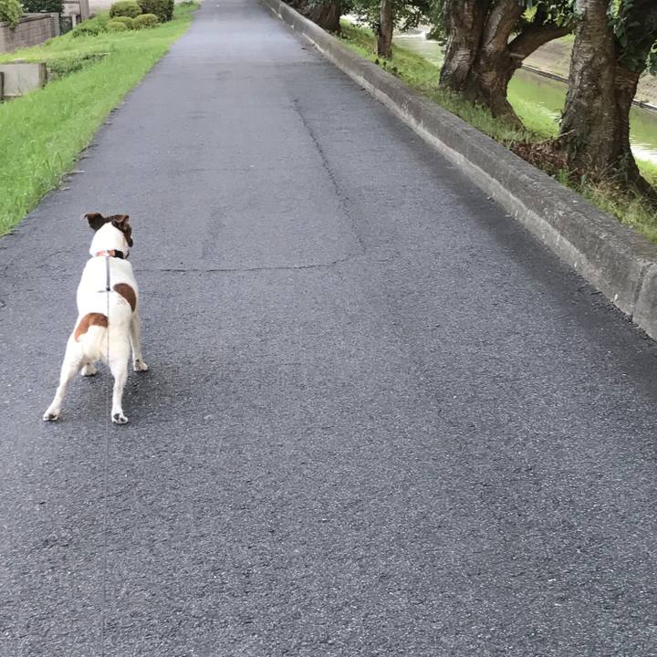 F793b59e c8ca 410e 8f6c 70ac30b236f9