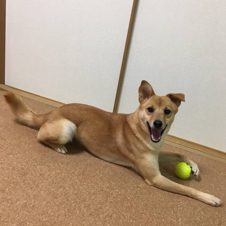 F7940a0a 5b85 4625 b812 651cb358f75f