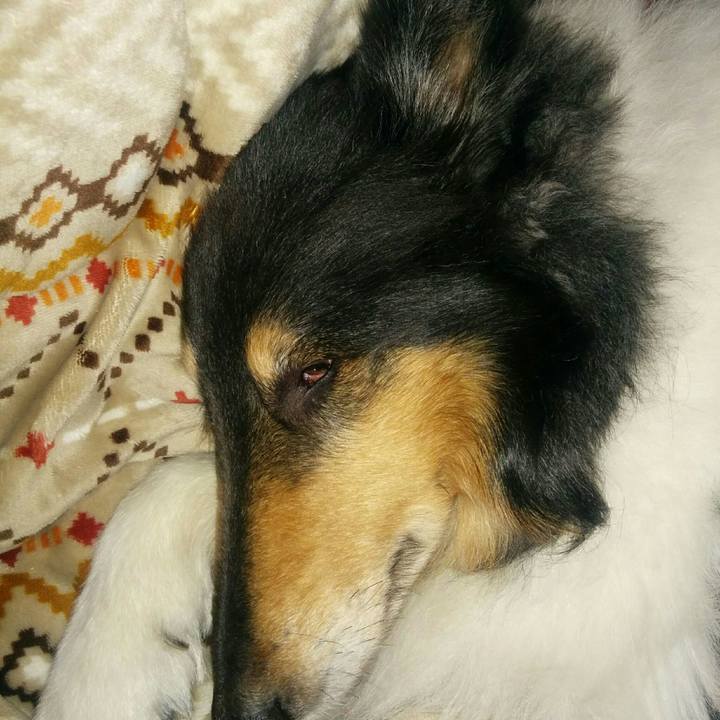 F794697a eb93 4494 80c2 c54a112c751e