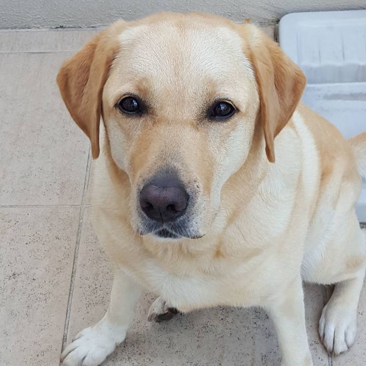 F794e73d b344 4131 a7c0 aea7a3a6fb71