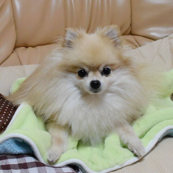 F7955ff1 31f0 40d7 87d0 cb78333dd9c2