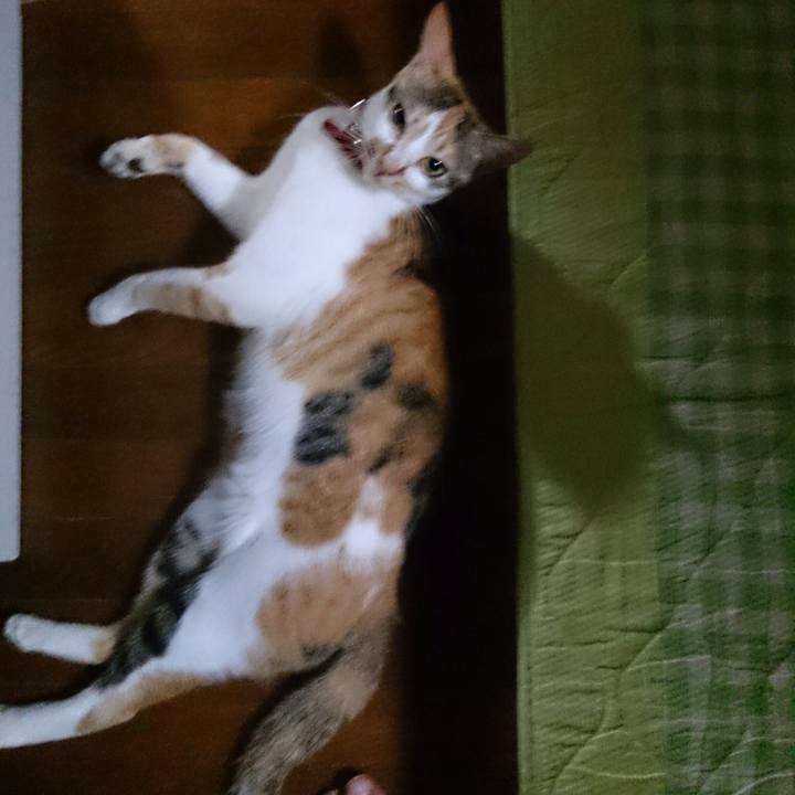 F79606e6 e34d 432c 9511 7c865d3cdbff